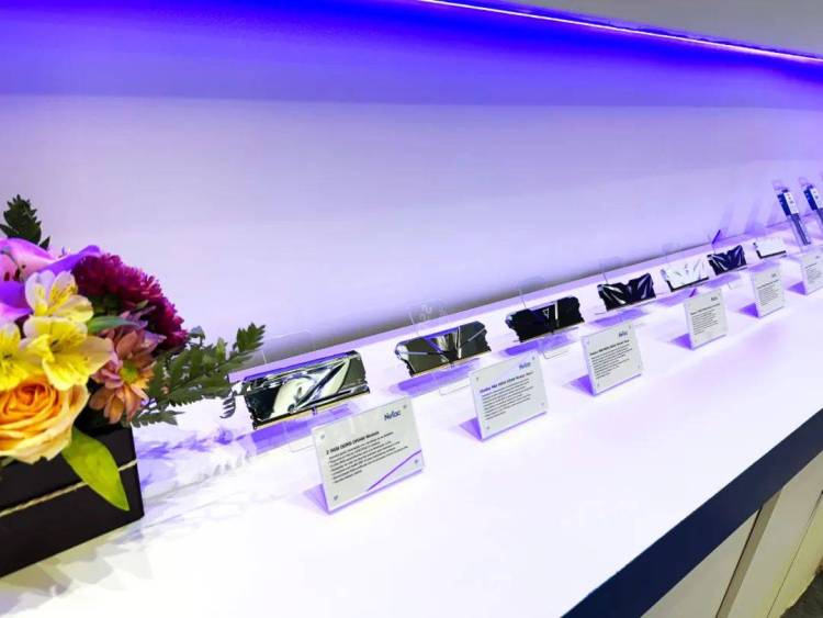 Netac朗科Eletrolar Show 2025圆满收官 | 感谢相遇，期待再会！