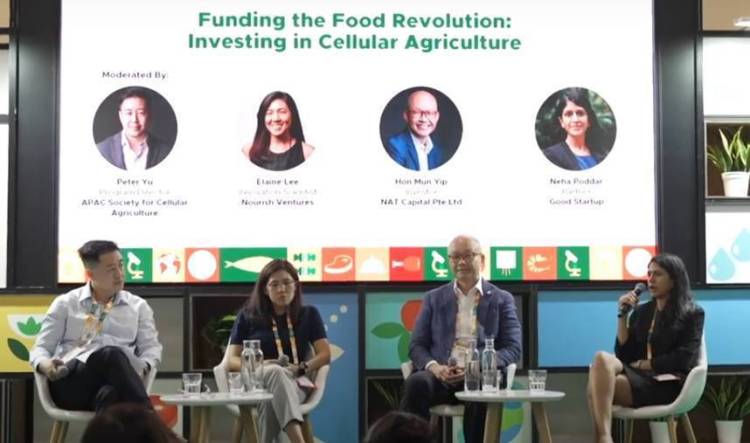 2026年新加坡新加坡城国际食品与酒店展览会：减少酒店碳足迹的五大最佳策略