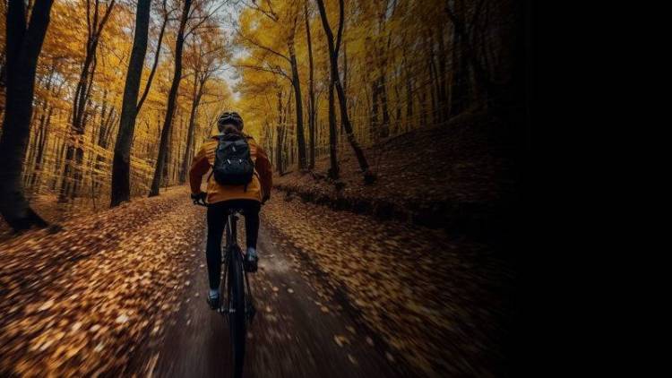 2025年西班牙巴利亚多利德国际旅游展览会：旅游盛宴