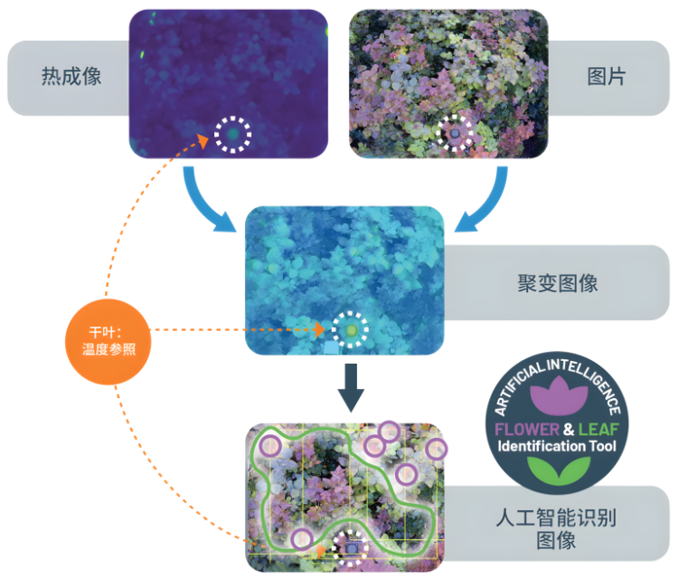 与全球顶尖农业科技对话：深莓智能亮相2025年世界顶级GreenTech展会