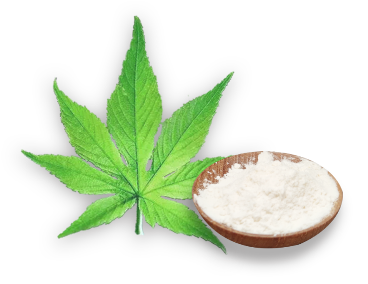 展会邀请丨绿蔓生物邀您共赴IFT2025美国国际食品科技展览会