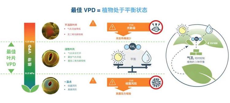 与全球顶尖农业科技对话：深莓智能亮相2025年世界顶级GreenTech展会