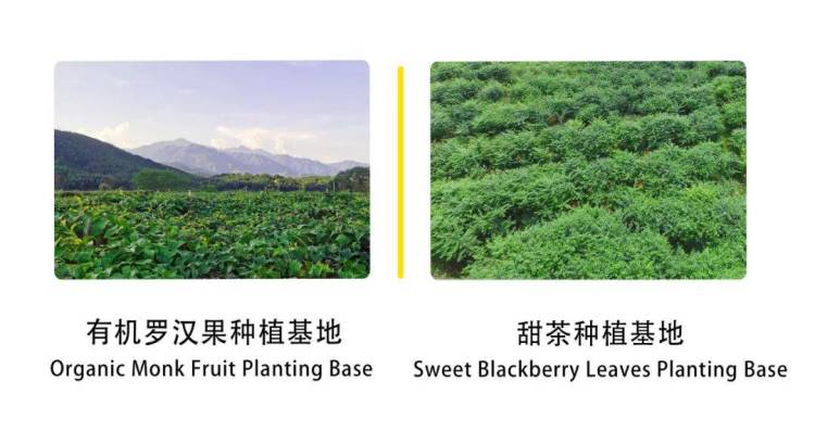 展会邀请丨绿蔓生物邀您共赴IFT2025美国国际食品科技展览会