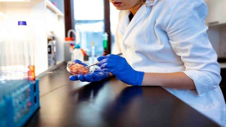 2027年德国科隆国际食品技术和机械展览会即将举办