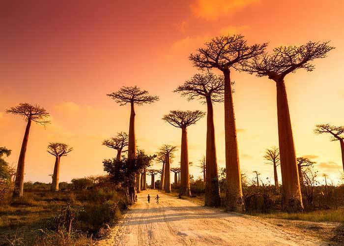 法国里尔国际旅游展览会：探索未来旅游趋势