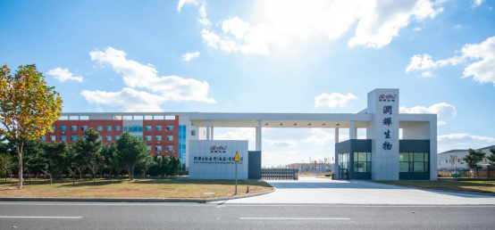 【展会邀请】润辉生物邀您相约2025年In Cosmetics Korea化妆品原料盛会！