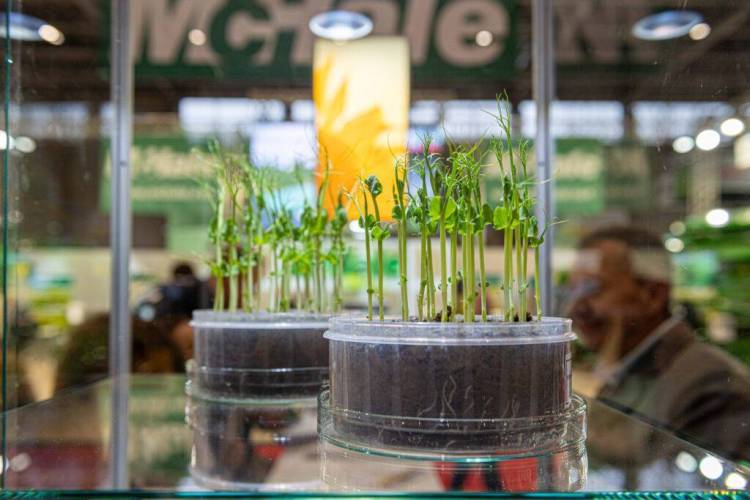 AGRO mashEXPO 2026：匈牙利布达佩斯国际农业及农业机械展览会即将开展