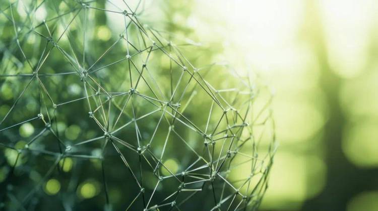 【邀请函】引领绿色「革」新 | 科控诚邀您莅临2025年越南国际鞋类、皮革及工业设备展览会，共鉴环保涂饰新力量