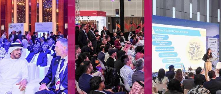 2026年阿拉伯联合酋长国迪拜国际电力、照明及新能源展览会：展会新增展区