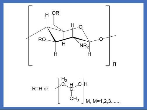 智源生物邀您共赴韩国首尔国际化妆品原料展In-Cosmetics Korea 2025