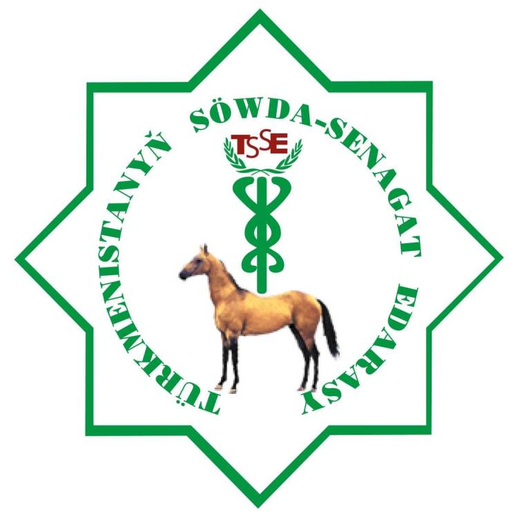 土库曼斯坦建材展：促进国内外合作重要平台