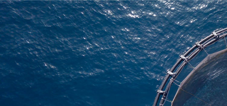 特隆赫姆国际水产贸易展览会Aqua Nor 2025：全球海洋养殖技术风向标