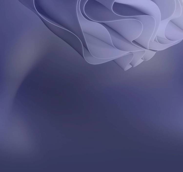 2025年墨西哥城国际美甲美容美发展览会：美容行业的盛会