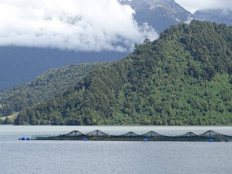 2024年智利蒙特港国际渔业展览会：Garware展示最新可持续解决方案