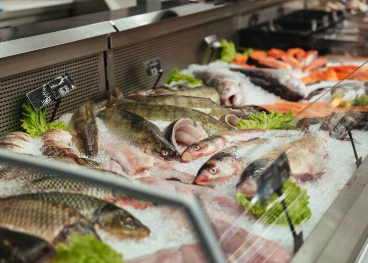 俄罗斯莫斯科国际渔业展览会 AquaPro Expo：2024水产养殖技术盛会