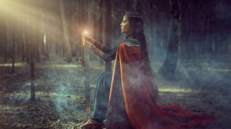 2025年讷韦尔秋季博览会：文化与商业盛宴