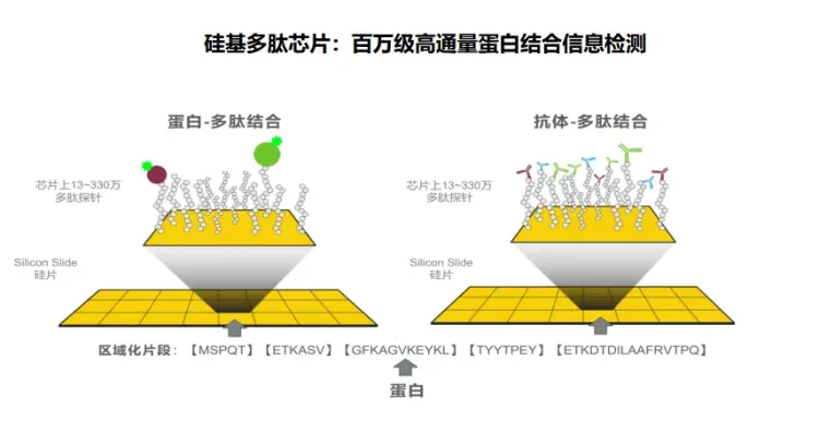 盛会邀约 | 碳云智能与您相约2025年第77届ADLM，共探IVD行业新未来