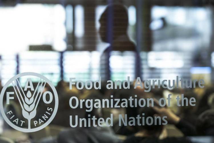 乌兹别克斯坦塔什干国际农业展览会：如何到达