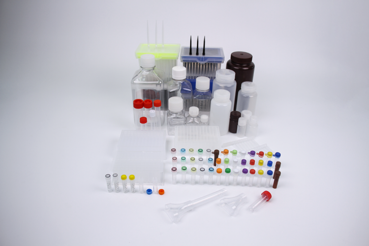 安进特诚邀您参加2025 ADLM美国临床化学年会暨临床实验医学博览会