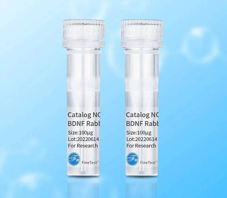 展会预告 | 菲恩生物邀您参加2025美国ADLM（原AACC）展会！