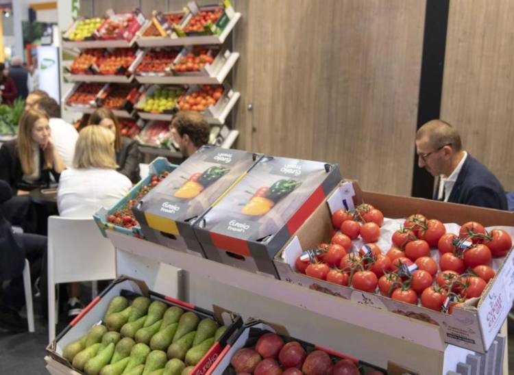 2025年西班牙马德里国际果蔬展览会：迈出坚实一步，将举办史上规模最大的一届