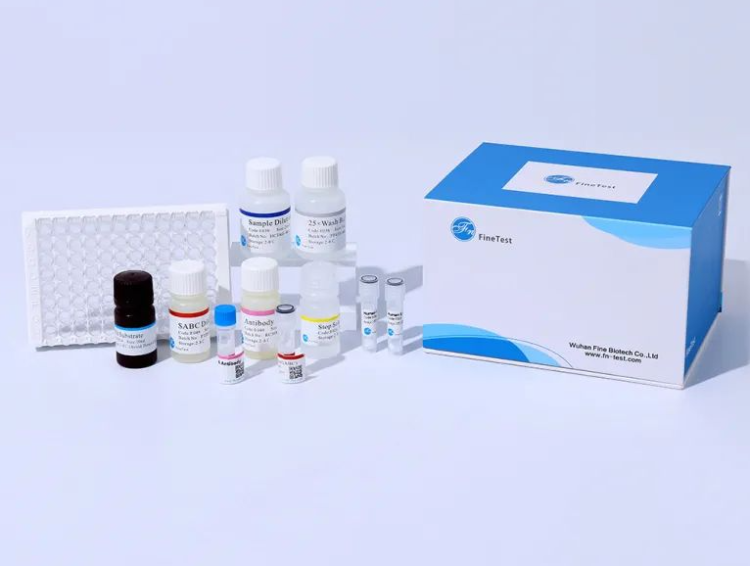 展会预告 | 菲恩生物邀您参加2025美国ADLM（原AACC）展会！