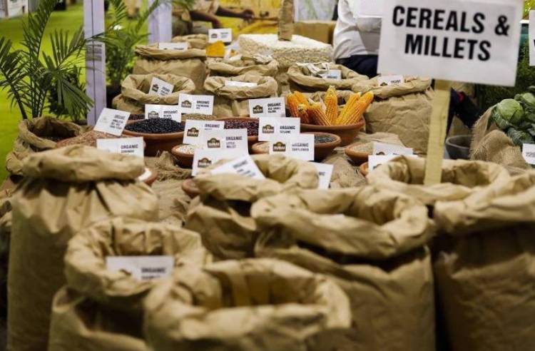 2025年印度诺伊达国际有机产品贸易展览会预告来袭