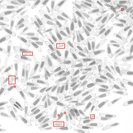 2025MIFB马来西亚国际食品饮料展 | 日联科技AI异物智检把食品安全亮给世界看