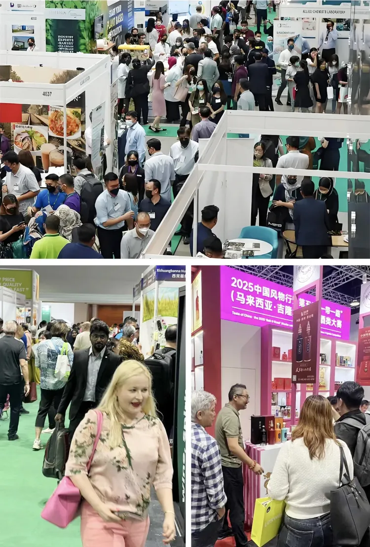 望君归酒MIFB首秀 | 亮相2025年东南亚枢纽平台，展现中国酒品质魅力