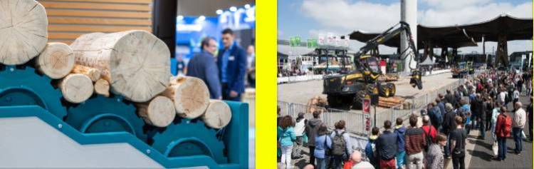 2027年德国汉诺威国际木业机械设备展览会:从林业到家具制造