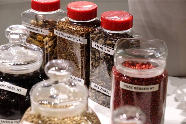 2026年比利时科特赖克国际食品配料展览会实用信息