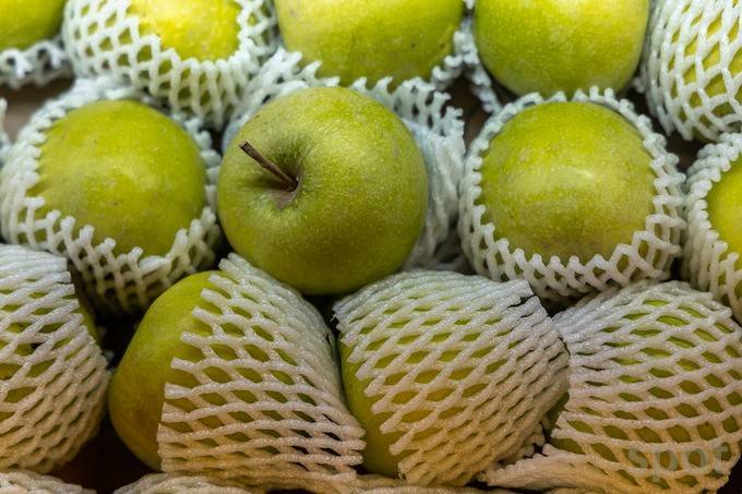 乌兹别克斯坦塔什干国际食品展UzFood 2026开幕在即