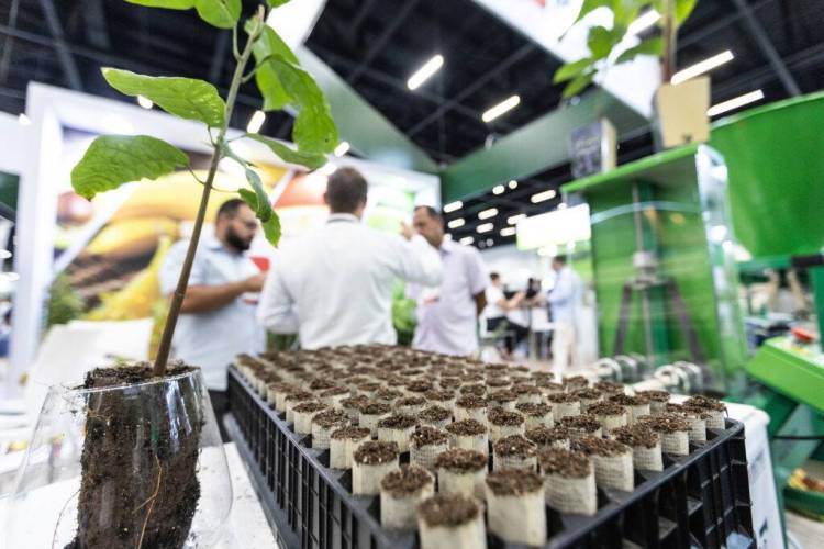 巴西圣保罗国际果蔬展——Fruit Attraction São Paulo 2026