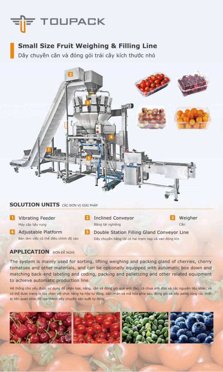 展会风采｜天之业智能精彩亮相2025年第29届越南国际食品饮料包装展览会