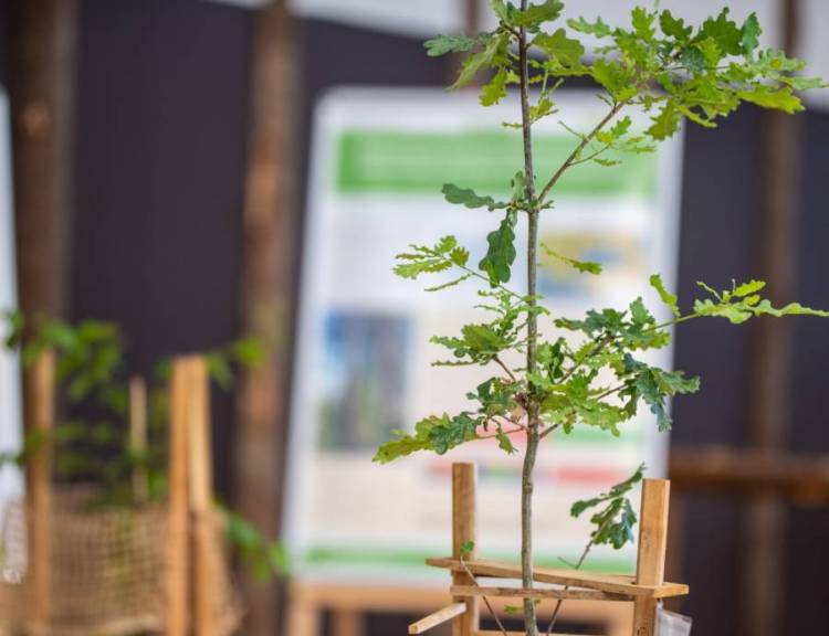 2026年德国慕尼黑国际木业工业技术展览会：木业创新合作盛会