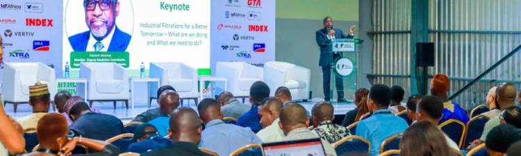 尼日利亚拉各斯电力水利展：发展与挑战