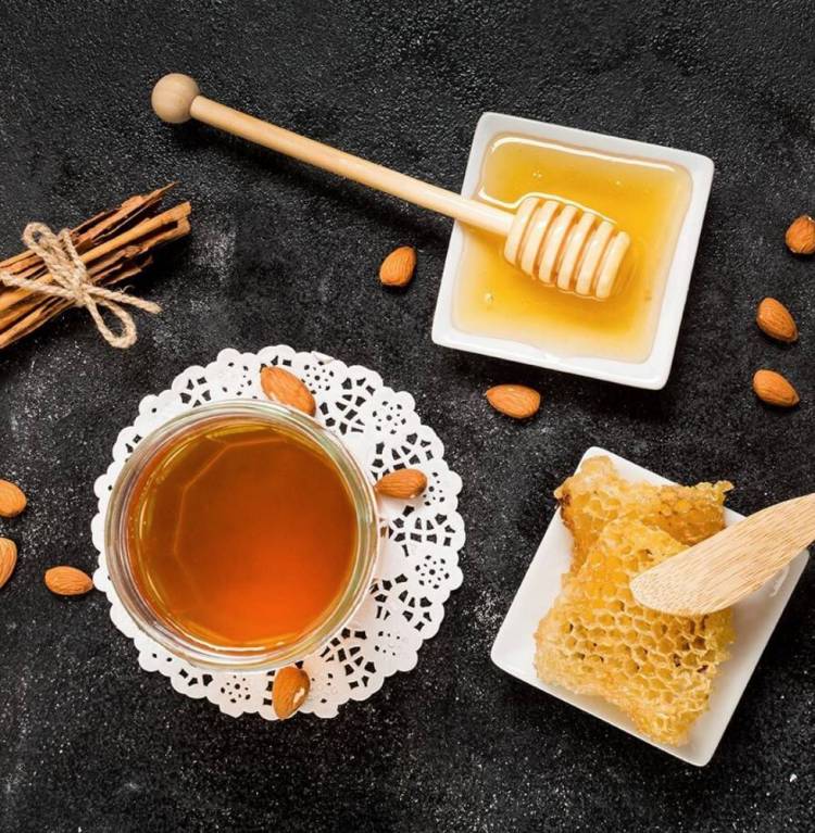 2025年意大利皮亚琴察国际养峰业展览会：最合格的养蜂产品