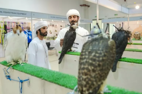 中东阿联酋沙迦户外露营、狩猎展览会展会现场图片