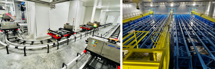 2025新加坡亚洲水产海鲜展Seafood Expo 华鑫德自动化来了！