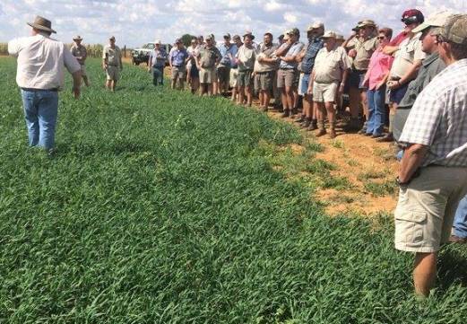 2025年南非国际（南浦）农业及农业机械展览会：推动农业创新