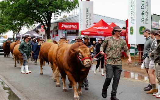 2025年南非国际（南浦）农业及农业机械展览会：推动农业创新