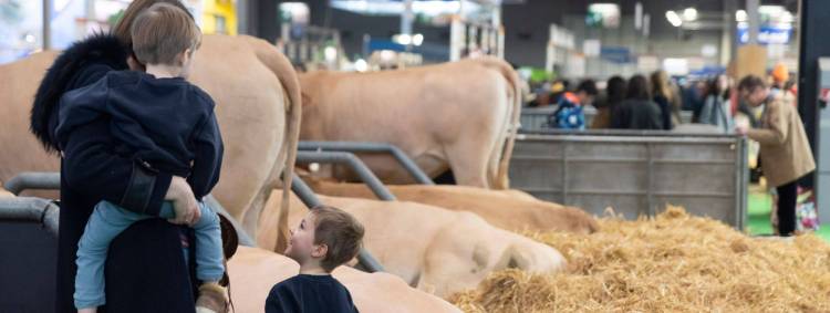 法国巴黎农展：亲密接触动物的好机会