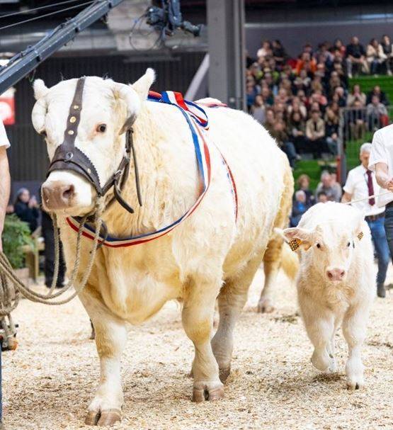 法国巴黎农展：亲密接触动物的好机会