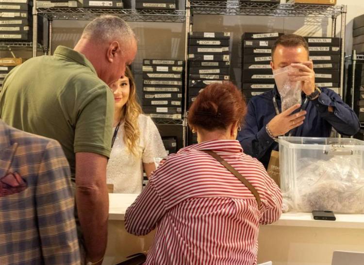 2025年韩国首尔国际美容化妆品展览会：全球美容业领袖齐聚