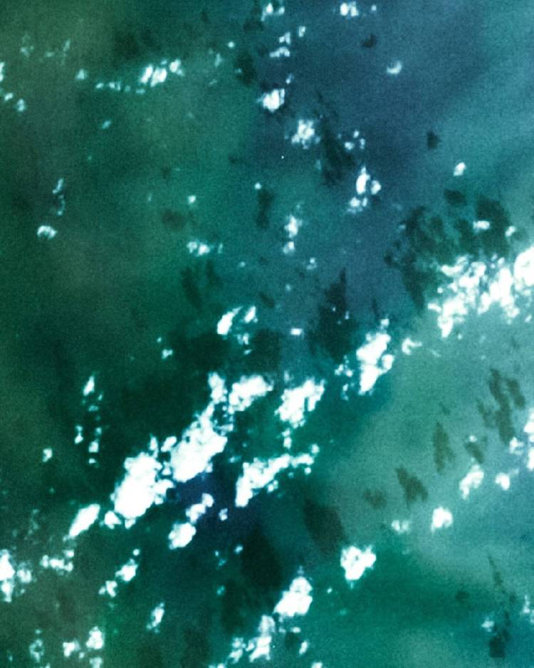 2025年里米尼国际环保技术展览会中的“绿色经济大会”聚焦可持续发展