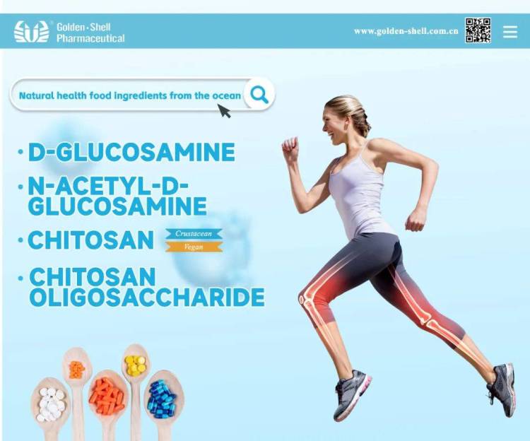 金壳药业 x 展会纪实 | 2025年世界制药原料展韩国展（CPHI korea x Hi korea）