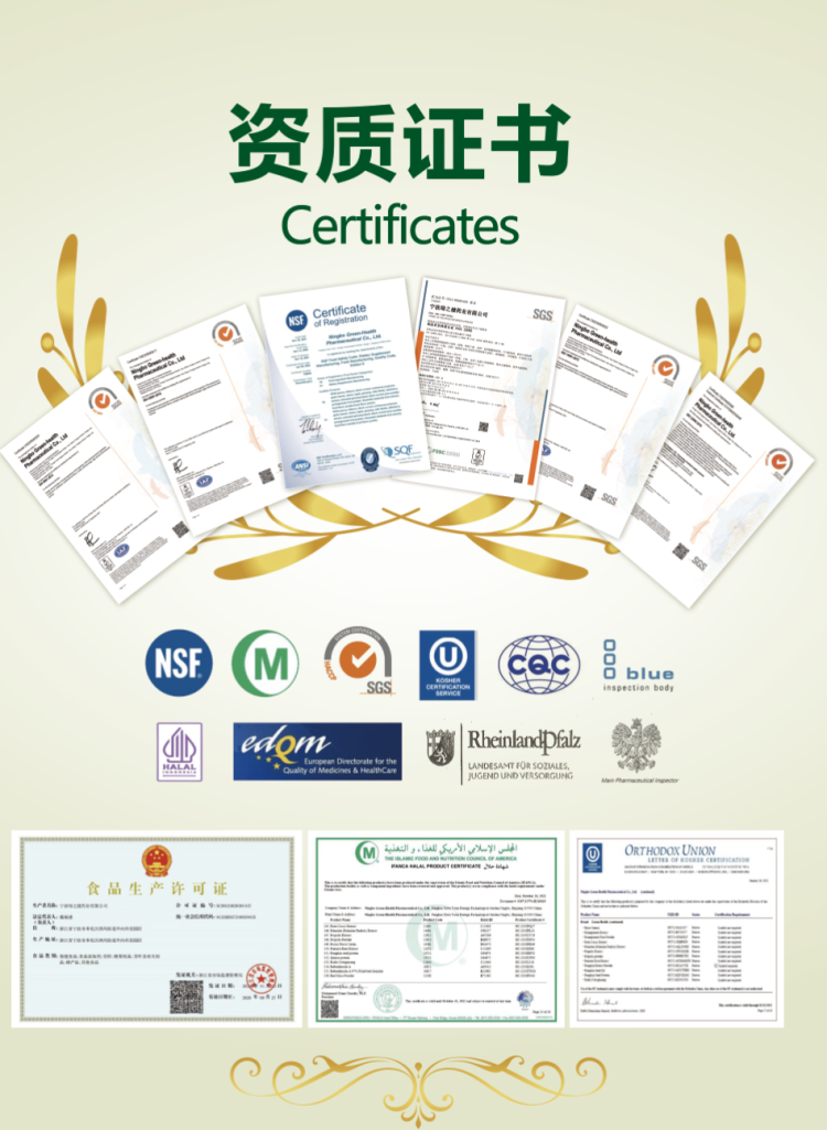 世界制药原料韩国展CPHI Korea 2025:宁波绿之健药业NGHP诚邀您莅临R05