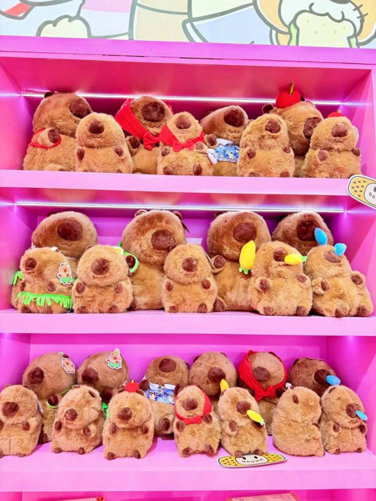 光合未来携多元IP系列，燃爆印尼玩具展IBTE 2025！