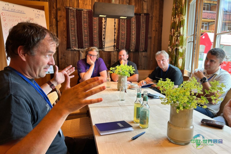 阿尔卑斯人工智能峰会2025