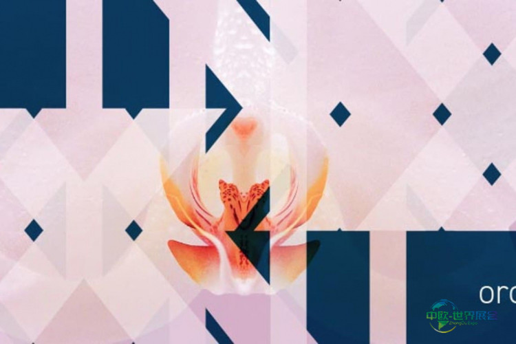 轻松实现数据驱动决策！